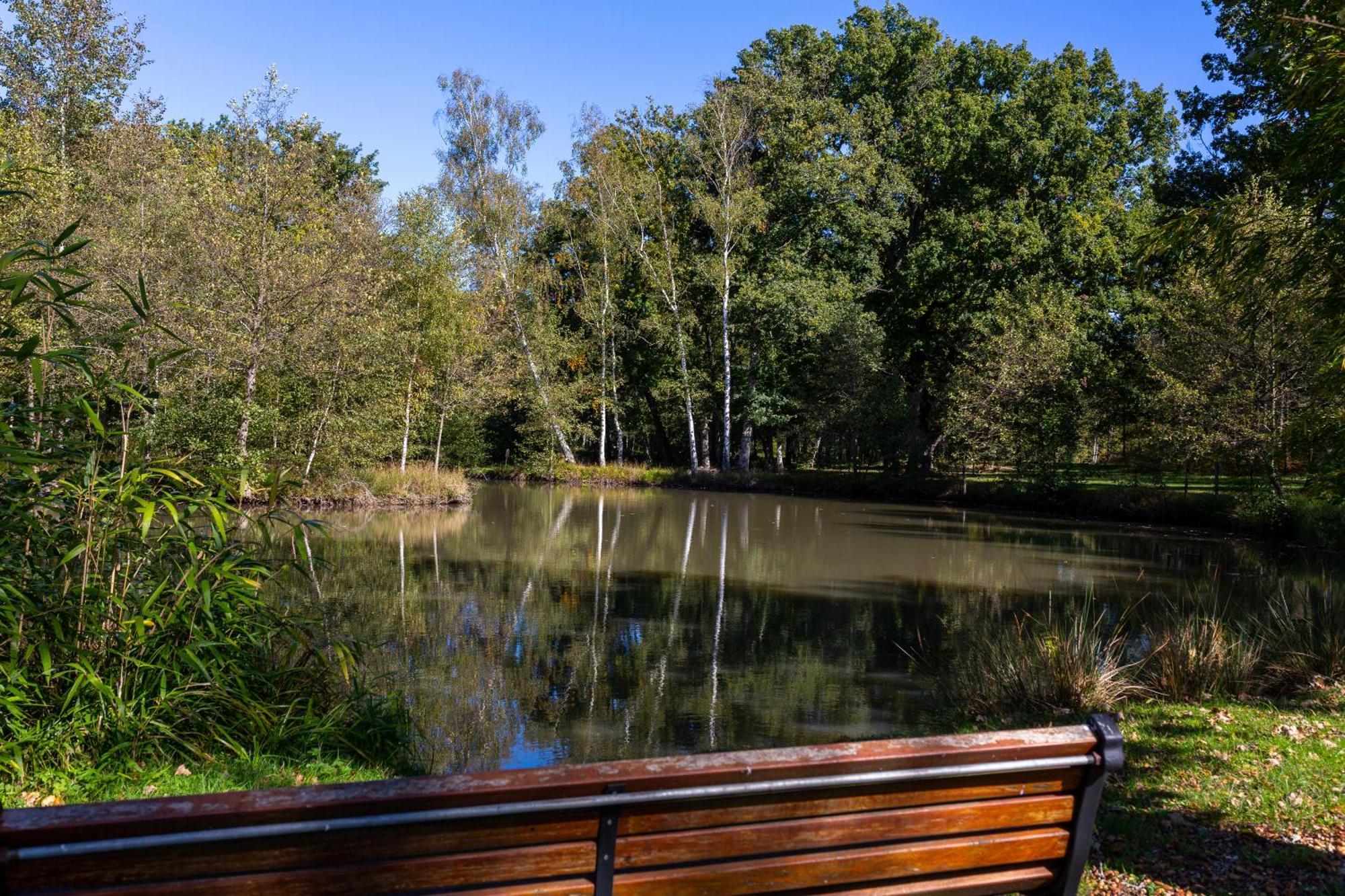 Hotel-Restaurant Domaine De La Grande Garenne Neuvy-sur-Barangeon Εξωτερικό φωτογραφία